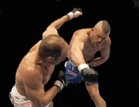 MMA Fighter Chuck Liddell puching an opponent